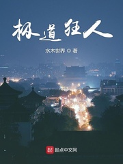 极道狂飙小说