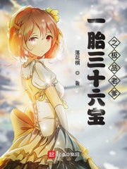 一胎三宝小说大全