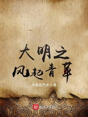 大明风华在线 在线播放