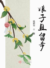 娘子且留步小说